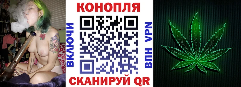 Купить  Кущёвская  Шишки марихуана Amnesia 